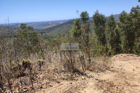 Helårsgrund i Monchique, Faro, Monchique - € 350.000 | Ref: T0438 - foto 13