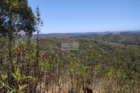 Helårsgrund i Monchique, Faro, Monchique - € 350.000 | Ref: T0438 - foto 14