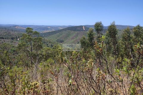 Helårsgrund i Monchique, Faro, Monchique - € 350.000 | Ref: T0438 - foto 15