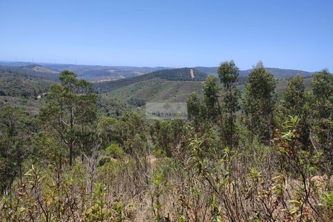 Helårsgrund i Monchique, Faro, Monchique - € 350.000 | Ref: T0438 - foto 16