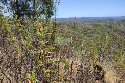 Helårsgrund i Monchique, Faro, Monchique - € 350.000 | Ref: T0438 - foto 17
