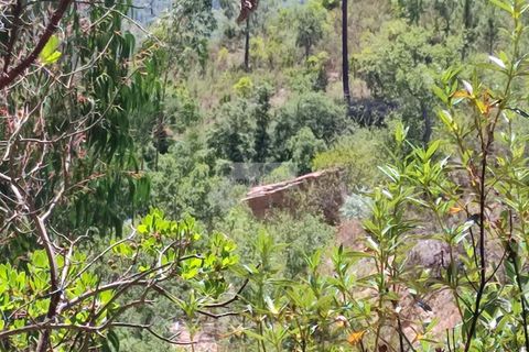 Helårsgrund i Monchique, Faro, Monchique - € 45.000 | Ref: T0440 - foto 1