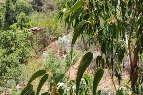Helårsgrund i Monchique, Faro, Monchique - € 45.000 | Ref: T0440 - foto 3