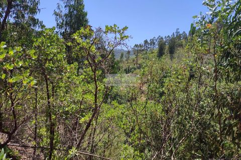 Helårsgrund i Monchique, Faro, Monchique - € 45.000 | Ref: T0440 - foto 5