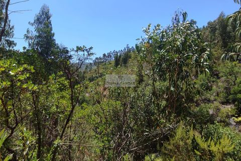 Helårsgrund i Monchique, Faro, Monchique - € 45.000 | Ref: T0440 - foto 6