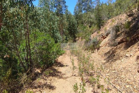 Helårsgrund i Monchique, Faro, Monchique - € 45.000 | Ref: T0440 - foto 7