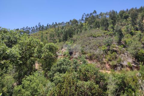 Helårsgrund i Monchique, Faro, Monchique - € 45.000 | Ref: T0440 - foto 8