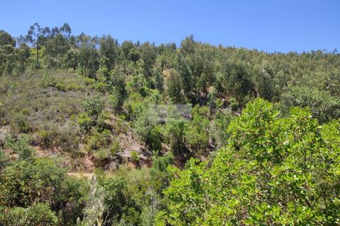 Helårsgrund i Monchique, Faro, Monchique - € 45.000 | Ref: T0440 - foto 9