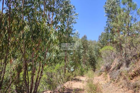 Helårsgrund i Monchique, Faro, Monchique - € 45.000 | Ref: T0440 - foto 10