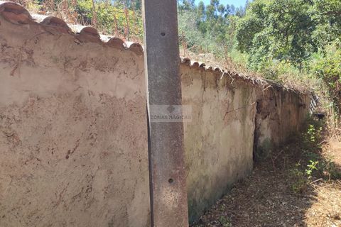 Ruïna a Monchique, Faro, Monchique - € 55.000 | Ref: R0067 - foto 3