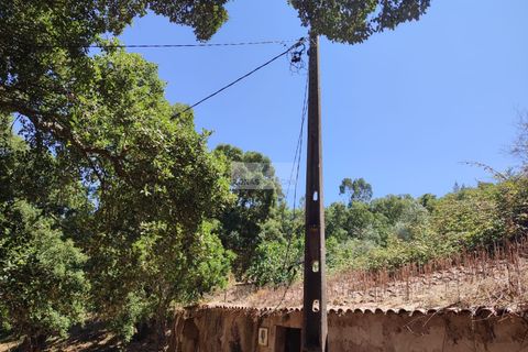 Ruïna a Monchique, Faro, Monchique - € 55.000 | Ref: R0067 - foto 8