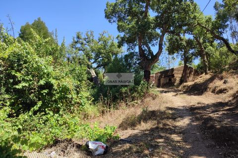 Ruïna a Monchique, Faro, Monchique - € 65.000 | Ref: R0066 - foto 5