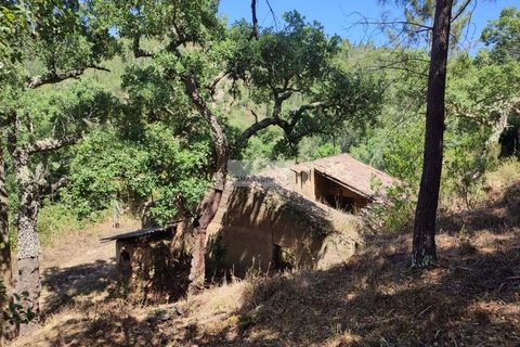 Ruïna a Monchique, Faro, Monchique - € 65.000 | Ref: R0066 - foto 6