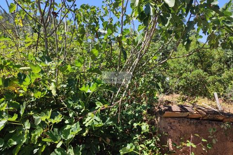 Ruïna a Monchique, Faro, Monchique - € 65.000 | Ref: R0066 - foto 14