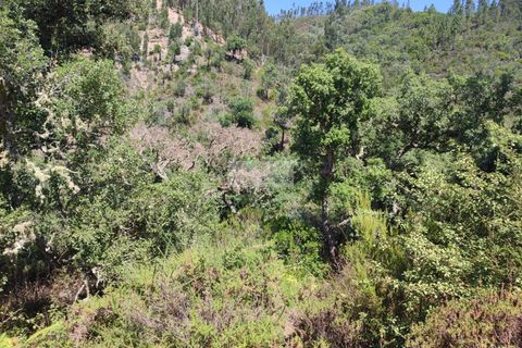 Ruïna a Monchique, Faro, Monchique - € 65.000 | Ref: R0066 - foto 16