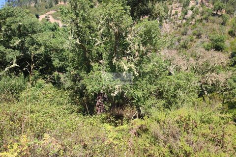 Ruïna a Monchique, Faro, Monchique - € 65.000 | Ref: R0066 - foto 17