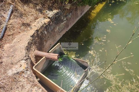 Farm hus i Lagos, Faro, Lagos - € 1.150.000 | Ref: H0020 - foto 15