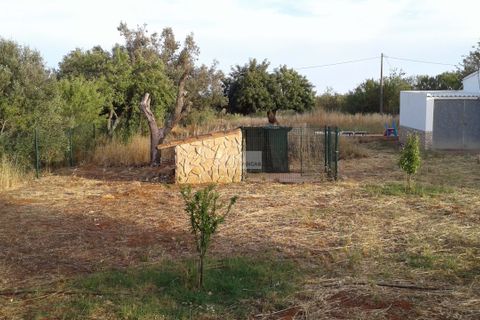 Farm hus i Lagos, Faro, Lagos - € 750.000 | Ref: Q0055 - foto 6