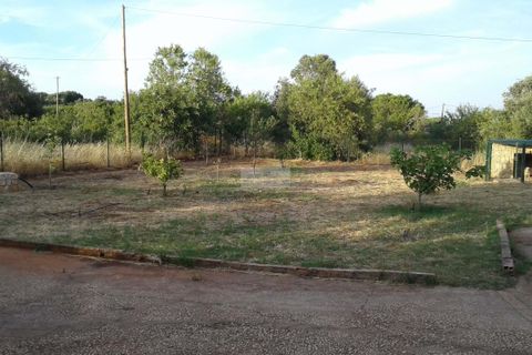 Farm hus i Lagos, Faro, Lagos - € 750.000 | Ref: Q0055 - foto 9