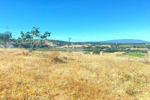 Helårsgrund i Lagos, Faro, Lagos - € 900.000 | Ref: T0443 - foto 3