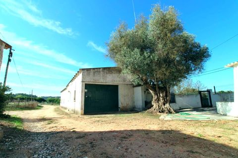 Farm hus i Lagos, Faro, Lagos - € 1.545.000 | Ref: Q0061 - foto 10