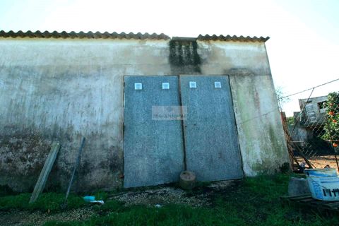 Farm hus i Lagos, Faro, Lagos - € 580.000 | Ref: Q0063 - foto 6