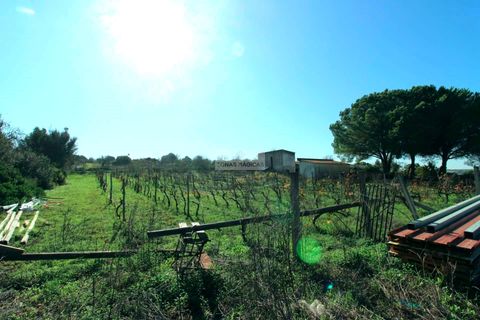 Farm hus i Lagos, Faro, Lagos - € 580.000 | Ref: Q0063 - foto 9