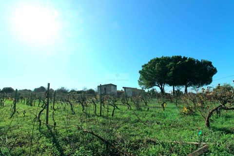 Farm hus i Lagos, Faro, Lagos - € 580.000 | Ref: Q0063 - foto 12