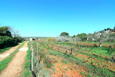 Farm hus i Lagos, Faro, Lagos - € 580.000 | Ref: Q0063 - foto 13