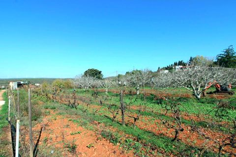 Farm hus i Lagos, Faro, Lagos - € 580.000 | Ref: Q0063 - foto 15