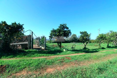 Farm hus i Lagos, Faro, Lagos - € 580.000 | Ref: Q0063 - foto 16