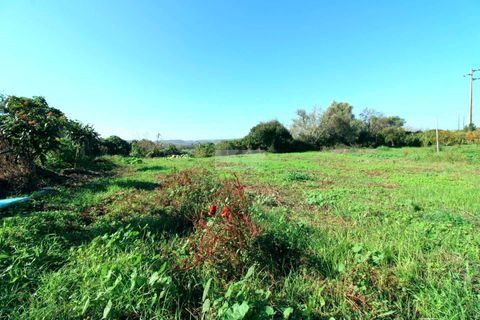 Farm hus i Lagos, Faro, Lagos - € 580.000 | Ref: Q0063 - foto 19