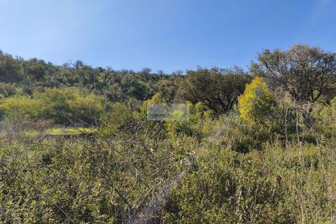 Terra a Sagres, Faro, Sagres - € 35.000 | Ref: T0474 - foto 2