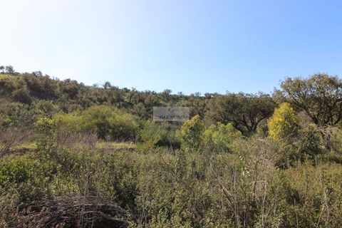 Terra a Sagres, Faro, Sagres - € 35.000 | Ref: T0474 - foto 3