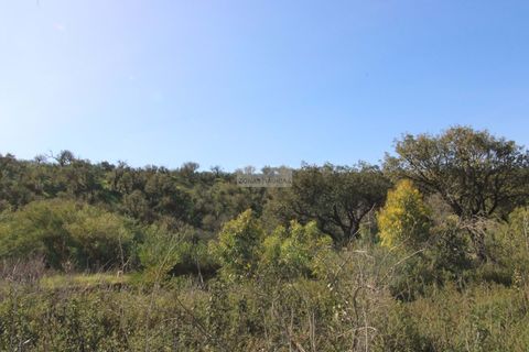 Terra a Sagres, Faro, Sagres - € 35.000 | Ref: T0474 - foto 4