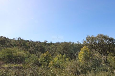 Terra a Sagres, Faro, Sagres - € 35.000 | Ref: T0474 - foto 5