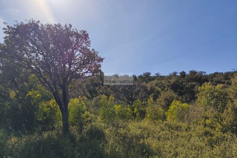 Terra a Sagres, Faro, Sagres - € 35.000 | Ref: T0474 - foto 6