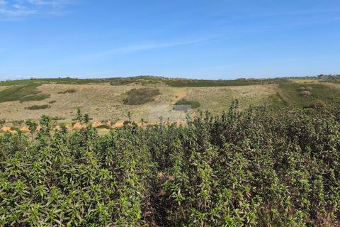Helårsgrund i Sagres, Faro, Sagres - € 80.000 | Ref: T0475 - foto 2