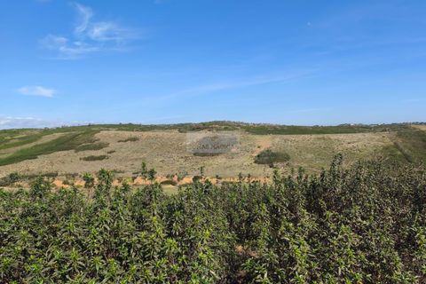Helårsgrund i Sagres, Faro, Sagres - € 80.000 | Ref: T0475 - foto 3