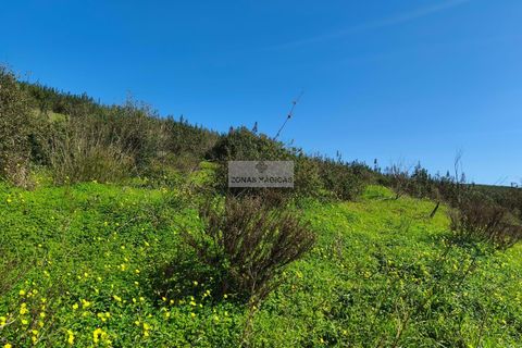Terra a Sagres, Faro, Sagres - € 75.000 | Ref: T0476 - foto 2