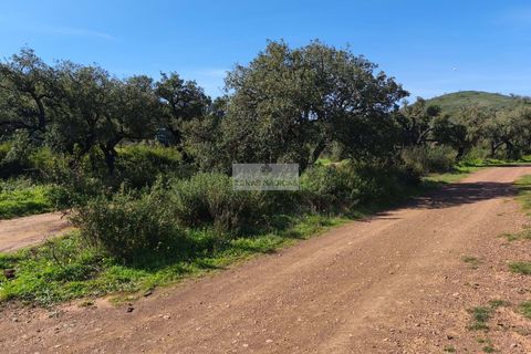 Terra a Sagres, Faro, Sagres - € 75.000 | Ref: T0476 - foto 3