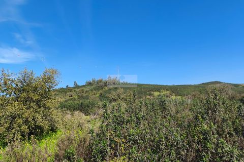 Terra a Sagres, Faro, Sagres - € 75.000 | Ref: T0476 - foto 4
