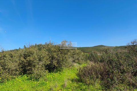 Terra a Sagres, Faro, Sagres - € 75.000 | Ref: T0476 - foto 5