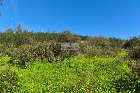 Terra a Sagres, Faro, Sagres - € 75.000 | Ref: T0476 - foto 6