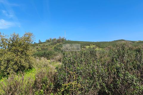 Terra a Sagres, Faro, Sagres - € 75.000 | Ref: T0476 - foto 7