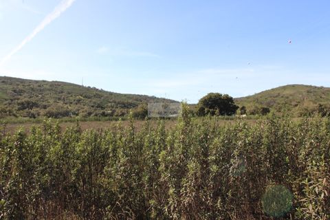 Terra a Sagres, Faro, Sagres - € 75.000 | Ref: T0476 - foto 10
