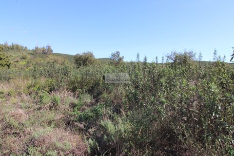 Terra a Sagres, Faro, Sagres - € 75.000 | Ref: T0476 - foto 12