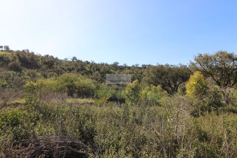 Terra a Sagres, Faro, Sagres - € 75.000 | Ref: T0476 - foto 13