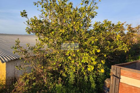 Farm hus i Lagos, Faro, Lagos - € 320.000 | Ref: Q0072 - foto 5