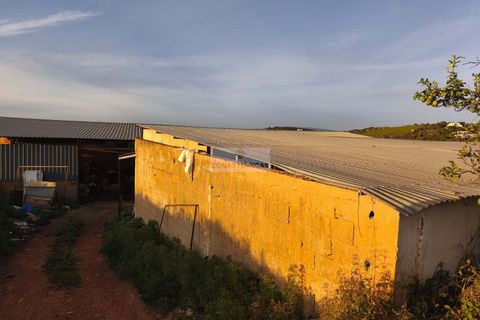 Farm hus i Lagos, Faro, Lagos - € 320.000 | Ref: Q0072 - foto 6